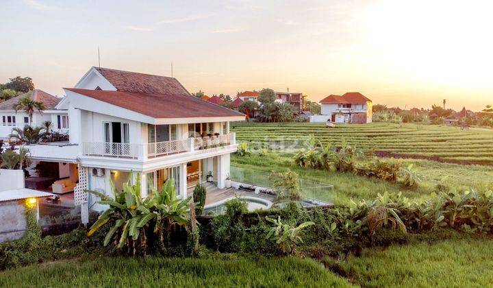 Luxury Villa with Rice field at Berawa,Canggu...Highly rentable area and 10 minutes to Atlas beach Fest , Finns Beach club and Berawa beach 1