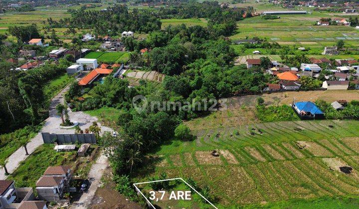 376m2 land with onegate system Cluster Environment in Kedungu... 7 minutes to Kedungu Beach, 8 minutes to Tanah Lot and 14 minutes to Pererenan Beach  1