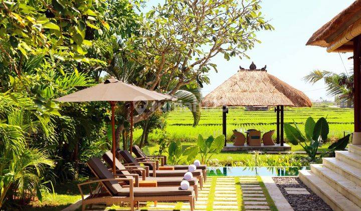 Ultimate Value alert villa with Paddie View at Seseh ,Cemagi Canggu....300 meters to the beach...this stunning compound with Ubud Vibes ,yet it is in Canggu 1