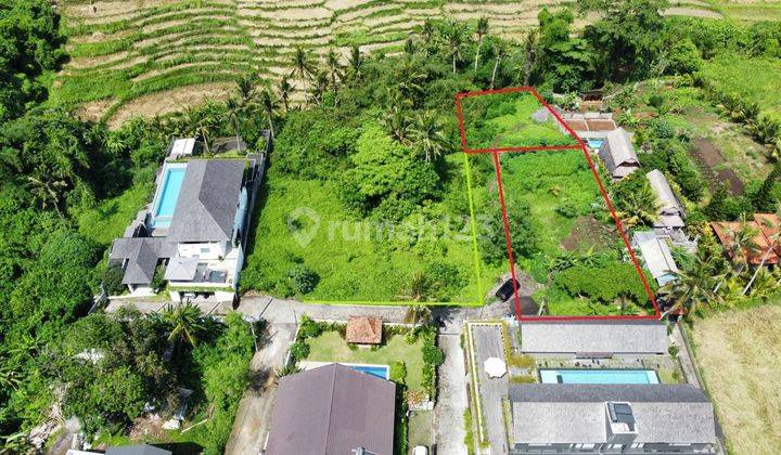 Tanah 1.391 m2 View Sawah dan Sungai di Mas , Ubud...Lingkungan one gate komplek villa..10 menit ke Restaurant Bebek Tepi Sawah dan 15 menit ke Pison Ubud 2