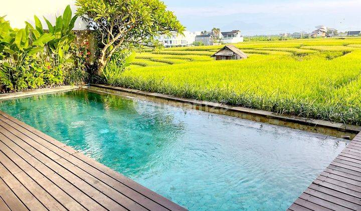 Beautiful villa Cluster onegate system with security 24hours and PADDY VIEW at Cemagi Canggu...300 meters to Mengening beach  1