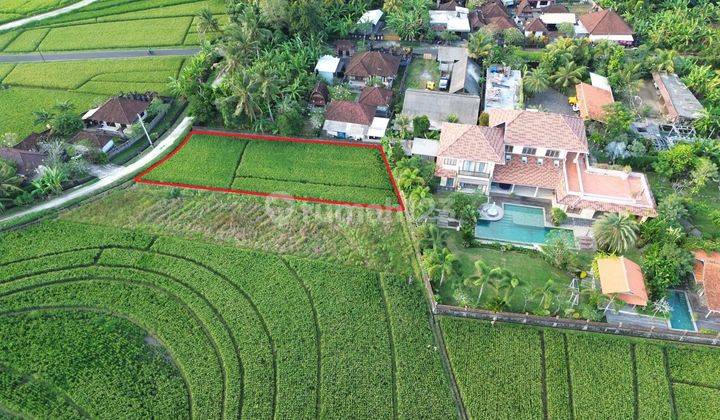 700m2 land with villa surroundings in Pasut Tabanan...only 5 minutes to Pasut Beach 2