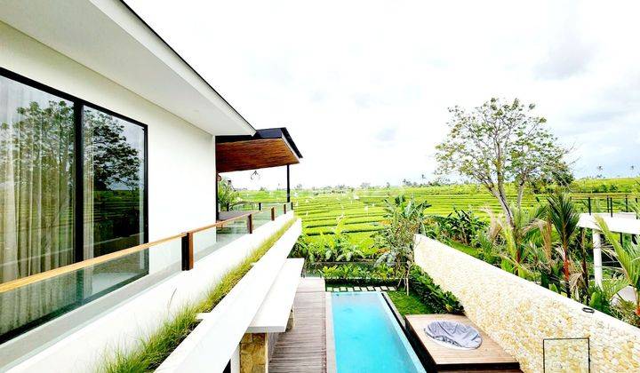 Brand new Luxury villa with Rice Padi View at Tumbak Bayuh, Pererenan Canggu...5 minutes to Pererenan Beach and 10 minutes to Berawa area 1