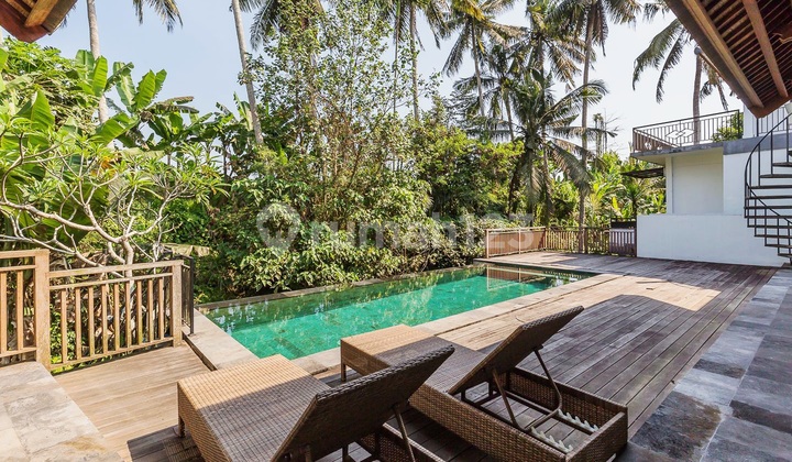 Price Reduced..Beautiful Villa with Jungle and River Views in Ubud..Near Rusters Cafe, 10 Minutes to Central Ubud and 15 Minutes to Green School 2