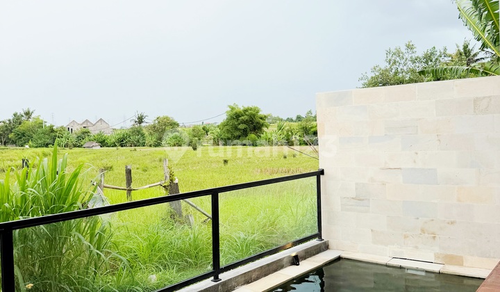Villa Baru Modern Minimalis Style dengan View Sawah di Cepaka Munggu , Tumbak Bayuh Pererenan Canggu...15 Menit ke Pantai Pererenan dan 20 Menit ke La Brisa Beach Club Villa Baru Modern Minimalis Style dengan View Sawah di Cepaka Munggu , Tumbak Bayuh Pererenan Canggu...15 Menit ke Pantai Pererenan dan 20 Menit ke La Brisa Beach Club