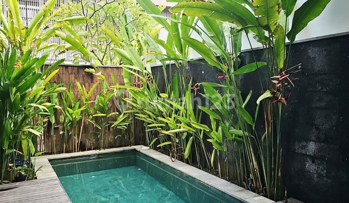 Villa Cantik Dalam Komplek Villa Cluster Onegate System dengan Security 24Jam di Batu Bolong , Canggu..8 Menit ke Pantai Batubolong (*Ada Opsi Freehold dan Leasehold )