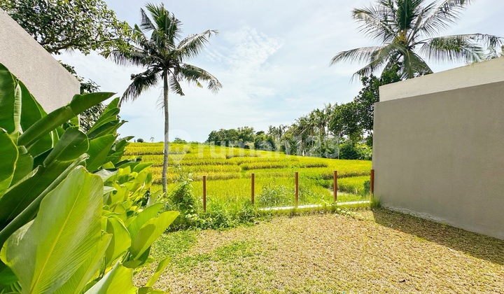 Villa Baru Modern Tropical Style Villa dengan View Sawah di Kedungu Dekat Canggu ..7 Menit ke Pantai Kedungu ,15 Menit ke Nuanu City dan 15 Menit ke Pantai Pererenan 2