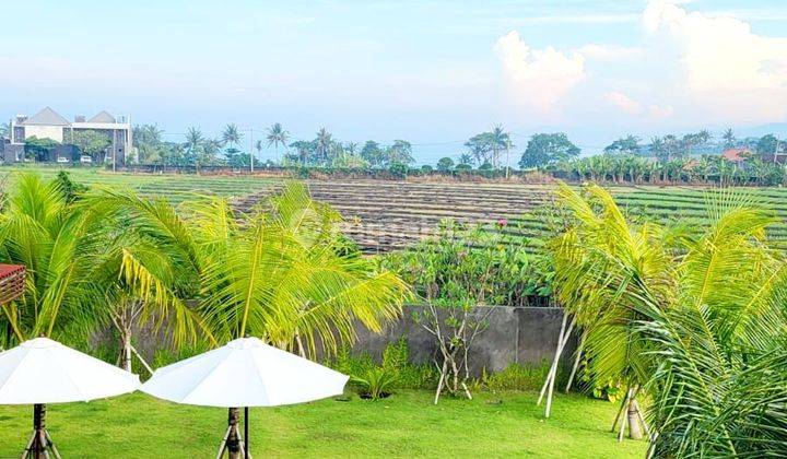 Luxury Villa With Paddy Rice Field View In A Cluster Onegate System Komplek Villa At Cemagi Canggu..300 Meters To Mengening Beach  2