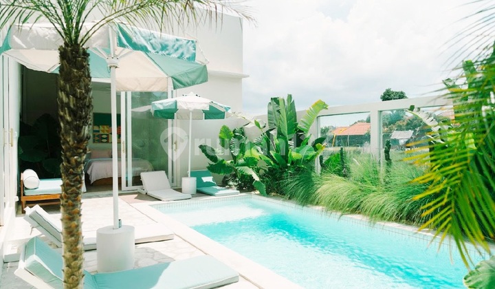 Villa Cantik Modern Style View Sawah Di Bumbak Umalas..4 Menit Ke Liga Tennis Umalas Dan Nook Umalas Villa Cantik Modern Style View Sawah Di Bumbak Umalas..4 Menit Ke Liga Tennis Umalas Dan Nook Umalas