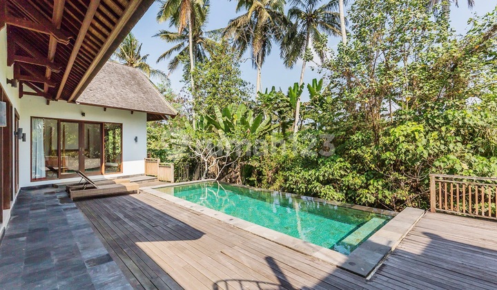 Turun Harga..Villa Cantik View Jungle dan Loss Sungai di Ubud..Dekat Rusters Cafe , 10 Menit ke Central Ubud dan 15 Menit ke Green School Turun Harga..Villa Cantik View Jungle dan Loss Sungai di Ubud..Dekat Rusters Cafe , 10 Menit ke Central Ubud dan 15 Menit ke Green School