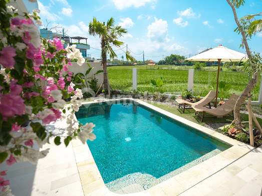 Minimalist Style Villa with Rice Field and Ocean Views in Cemagi Near Canggu...100 Meters to Cemagi Beach and 15 Minutes to Luna Beach Club 2