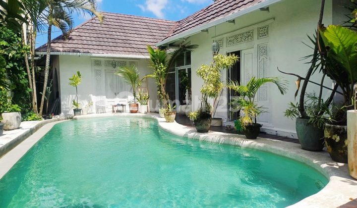Murahhh....villa Cantik Di Area Jalan Tegal Sari , Berawa Canggu ...700 Meter Ke Milu By Nook , 5 Menit Ke Atlas Beach Club 2