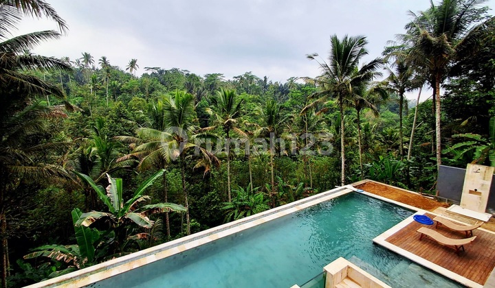 Villa Mewah Modern Style dengan View Jungle di Tampaksiring Dekat Ubud ... Ssekitar 20 Menit ke Ubud Palace dan Mongkey Forest Villa Mewah Modern Style dengan View Jungle di Tampaksiring Dekat Ubud ... Ssekitar 20 Menit ke Ubud Palace dan Mongkey Forest