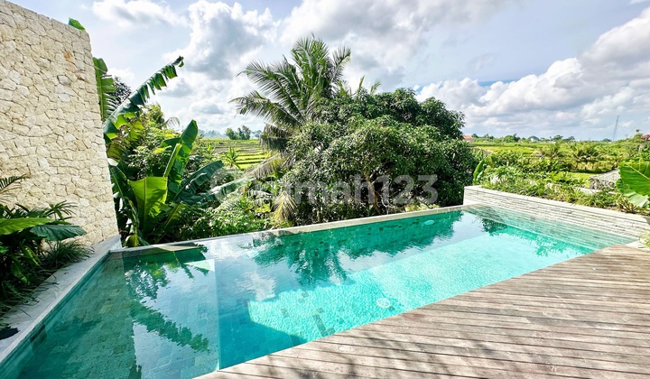 Turun Harga..Brand New Luxury Villa With Rice Field View At Nyanyi Near Canggu...7 Minutes To Nyanyi Beach And Luna Beach Club...10 Minutes To Kedungu Beach And Canggu Area 2