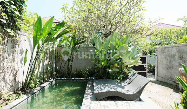 Villa Cantik Dalam Lingkungan Cluster Onegate System Di Tiying Tutul , Pererenan Canggu ...2 Menit Ke Jungle Padel Pererenan Dan 10 Menit Ke Pantai Pererenan 2