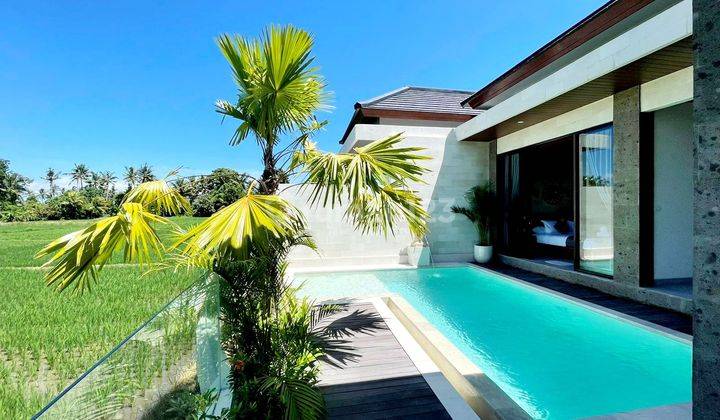 Brand New Beautiful Villa With Rice Field Paddy View At Kemenuh Near Ubud..1 Minutes To Sumampan Waterfall  , 10 Minutes To Central Ubud And 3 Minutes To Tegunungan Waterfall  2