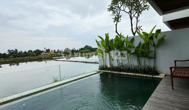 Turun Harga ..Modern Minimalis Style View Sawah di Singakerta , Ubud.. 10 Menit ke Central Ubud Turun Harga ..Modern Minimalis Style View Sawah di Singakerta , Ubud.. 10 Menit ke Central Ubud