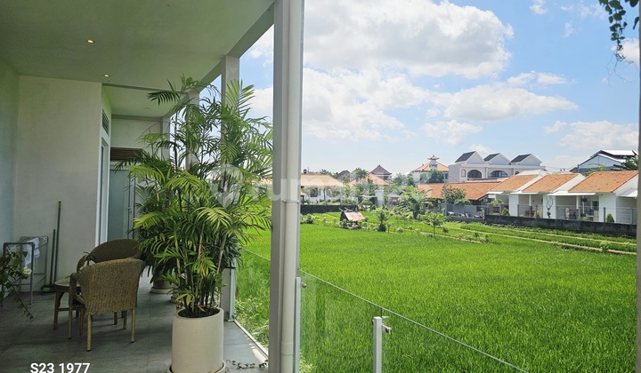 Villa Minimalis Modern Style dengan View Sawah di Padonan Canggu ..10 Menit An ke Berawa Canggu 2