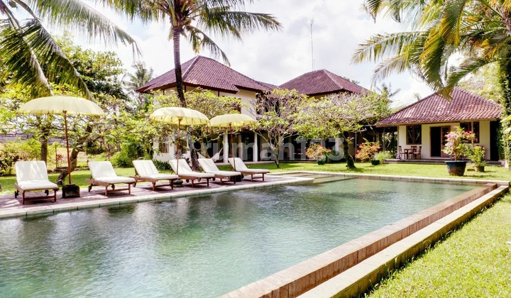 Villa Dengan Halaman Dan Kebun Yang Luas Di Bumbak Umalas ..2 Menit Ke Liga Tennis ,4 Menit Ke Sekolah Internasional Pproeducation Dan 6 Menit Ke Nook Umalas Villa Dengan Halaman Dan Kebun Yang Luas Di Bumbak Umalas ..2 Menit Ke Liga Tennis ,4 Menit Ke Sekolah Internasional Pproeducation Dan 6 Menit Ke Nook Umalas