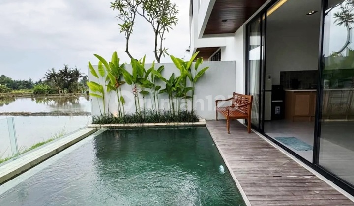 Turun Harga ..Modern Minimalis Style View Sawah di Singakerta , Ubud.. 10 Menit ke Central Ubud