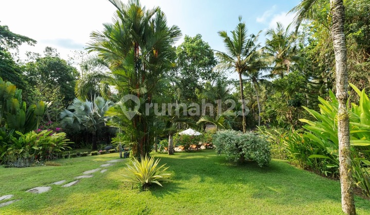 Luxury Villa Riverside With Big Yard And Garden At Munggu Near Canggu....20 Minutes To Luna Beach Club And Nuanu City..This Property Offers A Peaceful Escape, Surrounded By Nature And The Soothing Sounds Of The River.. 2