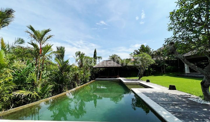 Turun Harga ..Beautiful Tropical Villa With Big Garden And Yard At Berawa Canggu .. 5 Minutes To Atlas Beach Club And Berawa Beach 2