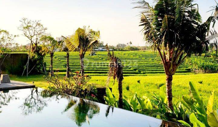 Luxury Villa With Paddy Rice Field View In A Cluster Onegate System Komplek Villa At Cemagi Canggu..300 Meters To Mengening Beach  1