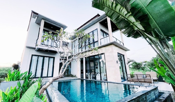 Villa Cantik View Sawah Di Cemagi Dekat Canggu.. 200 Meter Ke Pantai Cemagi Villa Cantik View Sawah Di Cemagi Dekat Canggu.. 200 Meter Ke Pantai Cemagi