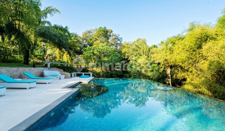 Luxury Villa Mansion With Jungle , River View And Large Garden At Kaba2 Tabanan Near Canggu...18 Minutes To Luna Beach Club , 30 Minutes To Green School And 35 Minutes To Atlas Beach Club Berawa Canggu 2