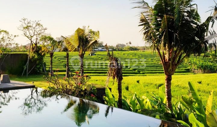 Luxury Villa Minimalis View Sawah dan Laut dengan Lingkungan Cluster Onegate Ssytem di Cemagi Dekat Canggu..300 Meter ke Pantai Cemagi 2