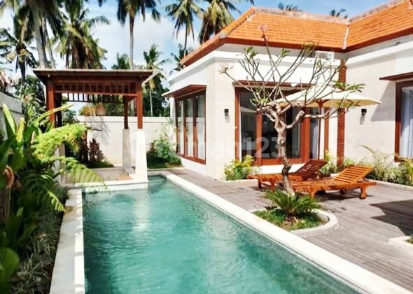 Villa Baru Modern Tropical Style Di Lodtunduh , Ubud ...lokasi Tenang Dan Dekat Sekolah Internasional