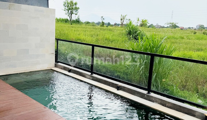 Villa Baru Modern Minimalis Style dengan View Sawah di Cepaka Munggu , Tumbak Bayuh Pererenan Canggu...15 Menit ke Pantai Pererenan dan 20 Menit ke La Brisa Beach Club 2