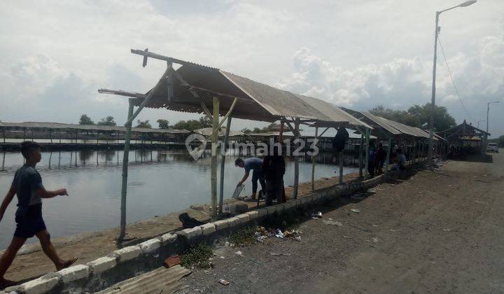 Tanah Tambak (kolam pancing aktif) 0 Jalan di Kalang Anyar - Sedati Sidoarjo 2