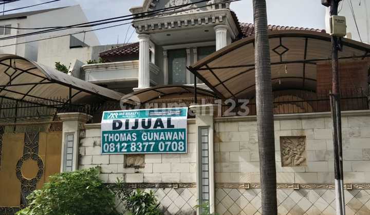 Rumah Tua Pluit 250m Lokasi Bagus, Jalan Lebar 3 Mobil, Hitung Tanah 4
