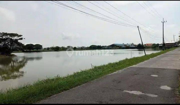 Tanah Tambak Aktif Sembayat Manyar Gresik 2 Juta Permeter 1