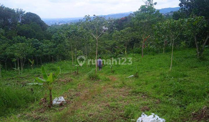 Tanah matang view kota bandung dan pegunungan 4