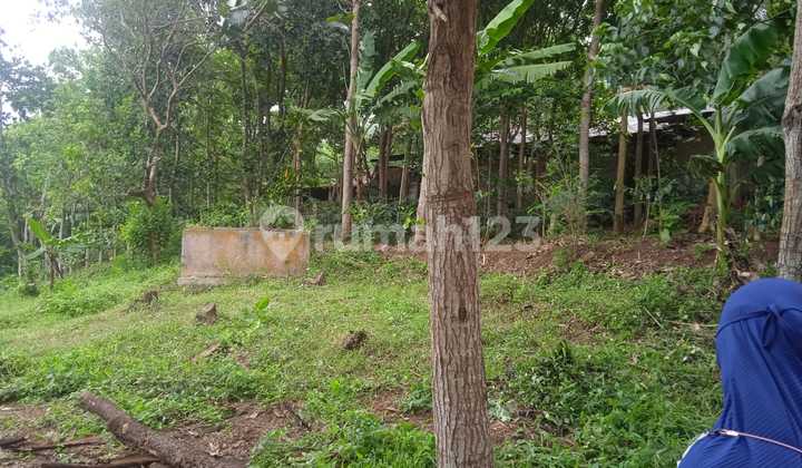 Tanah matang view kota bandung dan pegunungan 6