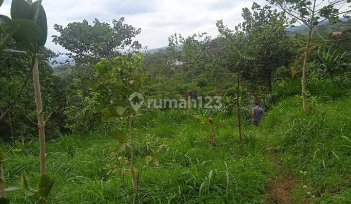 Tanah matang view kota bandung dan pegunungan 8