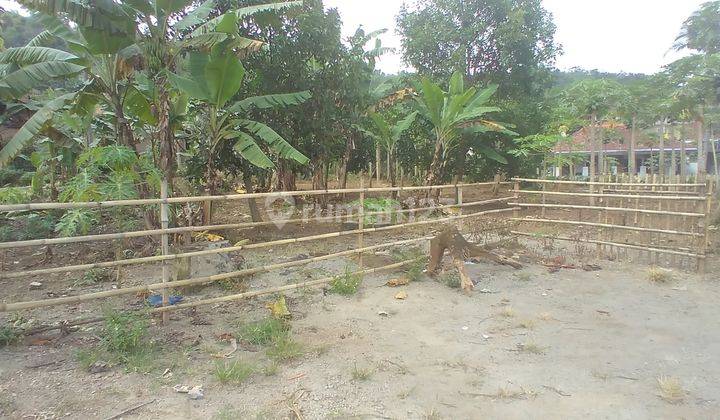 Tanah Di Limbangan Garut 2