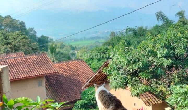 Rumah kayu semi villa di garut  1