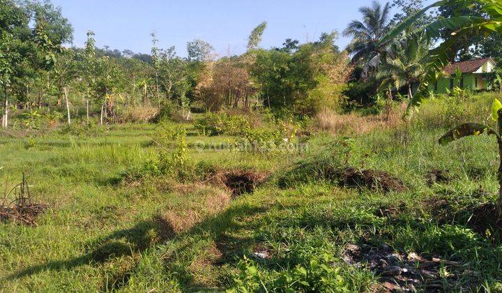 Tanah Di Limbangan Tengah Garut 1