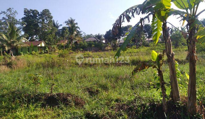 Tanah Di Limbangan Tengah Garut 2