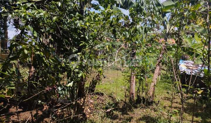 Jual Tanah Di Ujung Berung Bandung Jual Tanah Di Ujung Berung Bandung