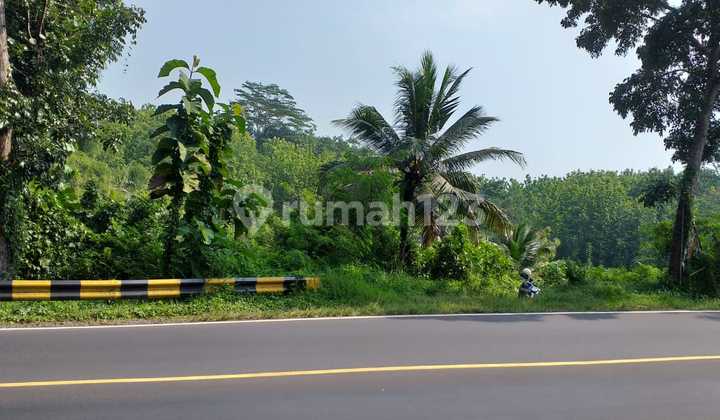 Jual Tanah Matang di Ciamis Jawa Barat