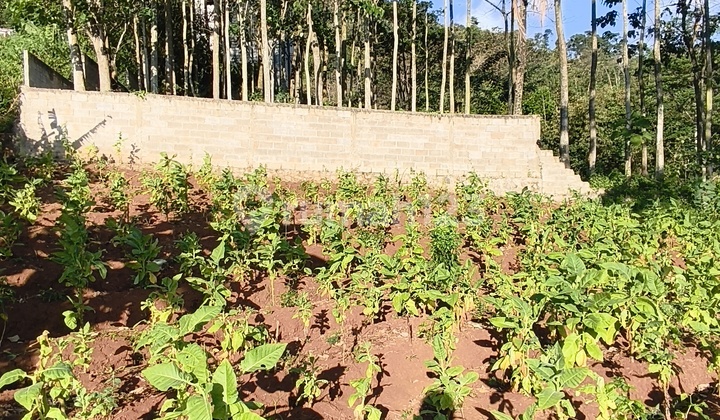 Jual Tanah Murah Di Jatinangor Jawa Barat