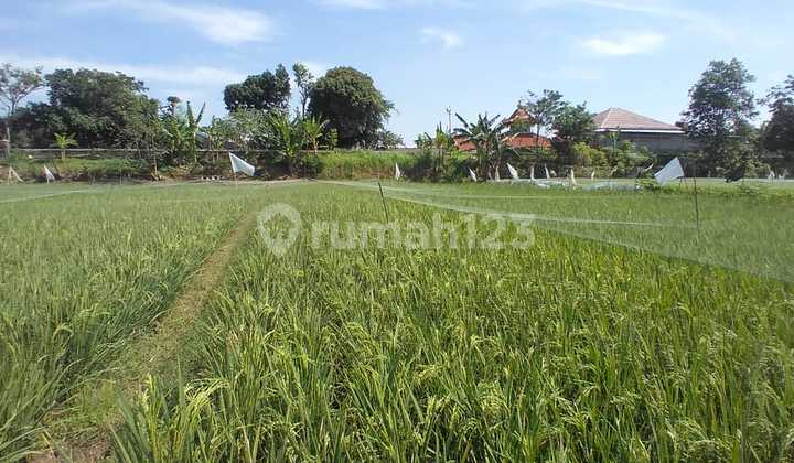 Land for Sale in Cibiru, Bandung Land for Sale in Cibiru, Bandung
