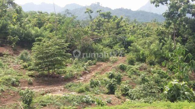 Tanah/ Kavling di Purwakarta Jawa Barat desa Kutamanah Sukasari, Pinggir Jalan Raya Murah 2