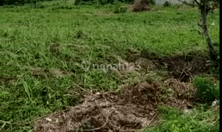 Tanah Kavling di Area Yonkav Singosari Malang Jawa Timur, Kawasan Pabrik 1