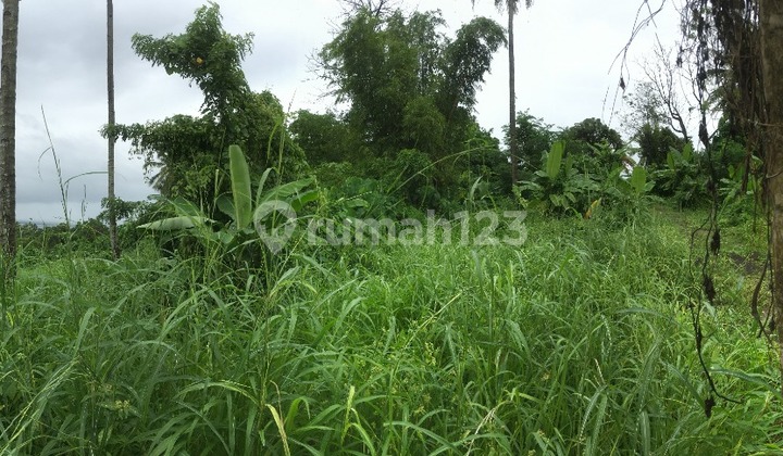 For Sale Malalayang Dua Land, Manado - Prime Location!