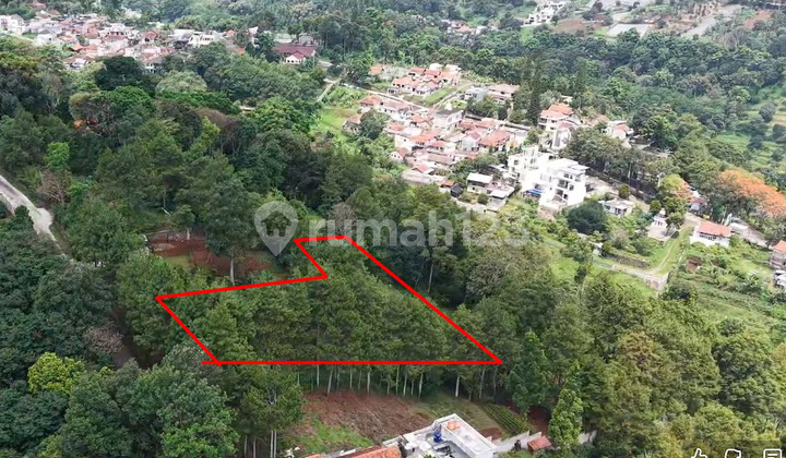 Tanah 2755 M2 SHM Lembang Bandung Barat Pagerwangi